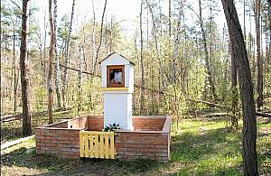 Legendy Białołęki: skarb hrabiego Reja