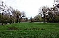 Wolskie Łazienki. 80 lat parku Sowińskiego