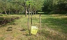 Nasz wspólny ogród w Forcie Bema