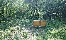 Nasz wspólny ogród w Forcie Bema