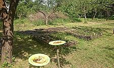 Nasz wspólny ogród w Forcie Bema