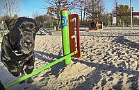 Dokąd wybrać się z psem? Nietypowy spacerownik po Bemowie