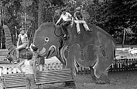 Siedem wspaniałych. Najciekawsze projekty dla Bielan