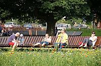 Zadowoleni z życia... w niebezpiecznej dzielnicy