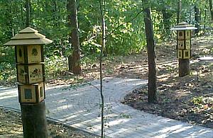 Sąsiedzkie spotkania przy lasku w Międzylesiu