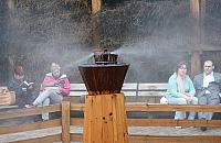 Zmieńmy Wolę. Na co głosować?