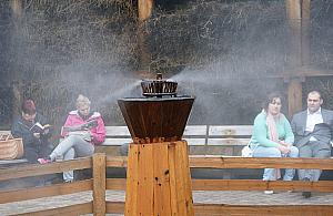 Zmieńmy Wolę. Na co głosować?