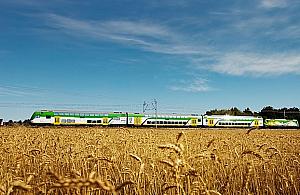 Z Legionowa znów dojedziemy nad morze