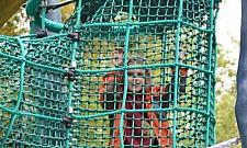 Nowy skwer na Zaciszu z fontanną i wieżą