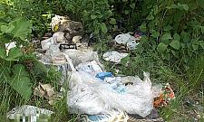 Opony i stare mięso. Odkryto dzikie wysypisko