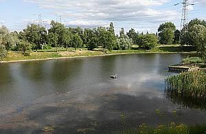 Dzikie Glinianki Sznajdra. "Im mniej tu ludzi, tym lepiej"
