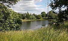 Dzikie Glinianki Sznajdra. "Im mniej tu ludzi, tym lepiej"