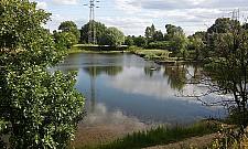 Dzikie Glinianki Sznajdra. "Im mniej tu ludzi, tym lepiej"