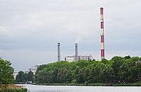 Wytną 1800 drzew, zasadzą 20 tysięcy. Wkrótce budowa gazociągu nad Kanałem