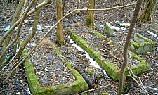 Białołęka wielu kultur. "Ślady historii powoli się zacierają"