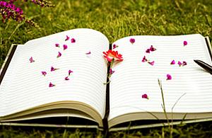 Czytanie na trawie. Rodzinne spotkania na Białołęce