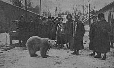 Wakacje w mieście: wycieczka szlakiem Baśki Murmańskiej