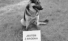 Bródno to nie Targówek. "Może czas zmienić nazwę dzielnicy"