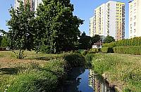 Kto brudzi Potok Bielański?