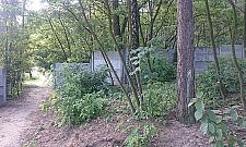 Ksiądz ogrodził kawałek lasu. Cmentarz wędruje w stronę domów