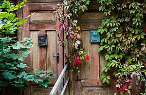 Czy Wawer jest ciekawy? Wyzwanie dla dociekliwych