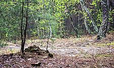 Czy Wawer jest ciekawy? Wyzwanie dla dociekliwych