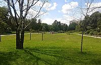 Co dalej z parkiem Herberta? "Żadnej muzyki, żadnego amfiteatru"