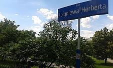 Co dalej z parkiem Herberta? "Żadnej muzyki, żadnego amfiteatru"