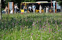 Zmieniamy Wolę. 51 najlepszych pomysłów