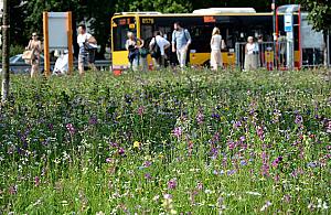 Zmieniamy Wolę. 51 najlepszych pomysłów
