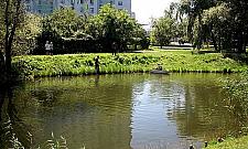 Kępa Potocka podzielona płotem