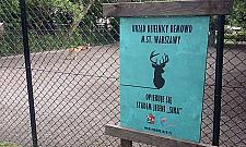 Oto nasze jelonki. Mieszkają w ZOO na Pradze