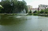 Słoń przegrał na Wawrzyszewie. Zabrakło trzech głosów