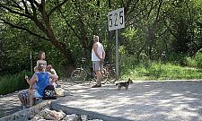 Kurka wodna i inne atrakcje. Tylko do końca wakacji