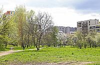 W centrum Odolan wyro�nie zielony labirynt