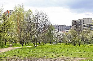 W centrum Odolan wyrośnie zielony labirynt