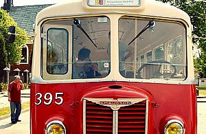 "Świńskim ryjkiem" odwiedzamy białołęckie zakony