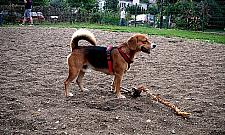 Zupełnie nowy park Herberta od przyszłego roku