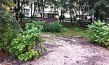 Nowy sklep na skwerku przy Sowińskiego