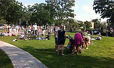 Fontanny przebojem lata