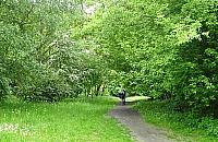 Park Anieli Krzywoń prawie uratowany