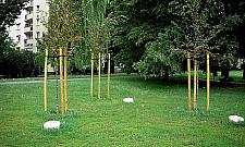 Kto pamięta o Ogrodzie Sprawiedliwych? "Między kamieniami załatwiają się psy"