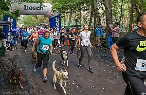 Zabierz piesia do Międzylesia