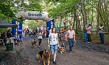 Zabierz piesia do Międzylesia