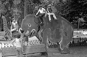 We wrześniu na Bielany wraca słoń