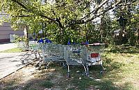 Plaga porzuconych wózków. "Czereśniactwo z ludzi wychodzi"