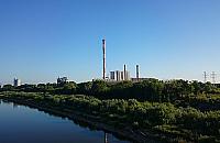 Tysiące drzew w zamian za gazociąg