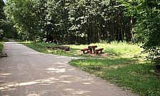 Budowa gazociągu przetnie nasze lasy