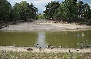 Morskie Oko wysycha? Kiedyś tętniło życiem