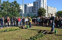 Sto nowych dębów na Targówku